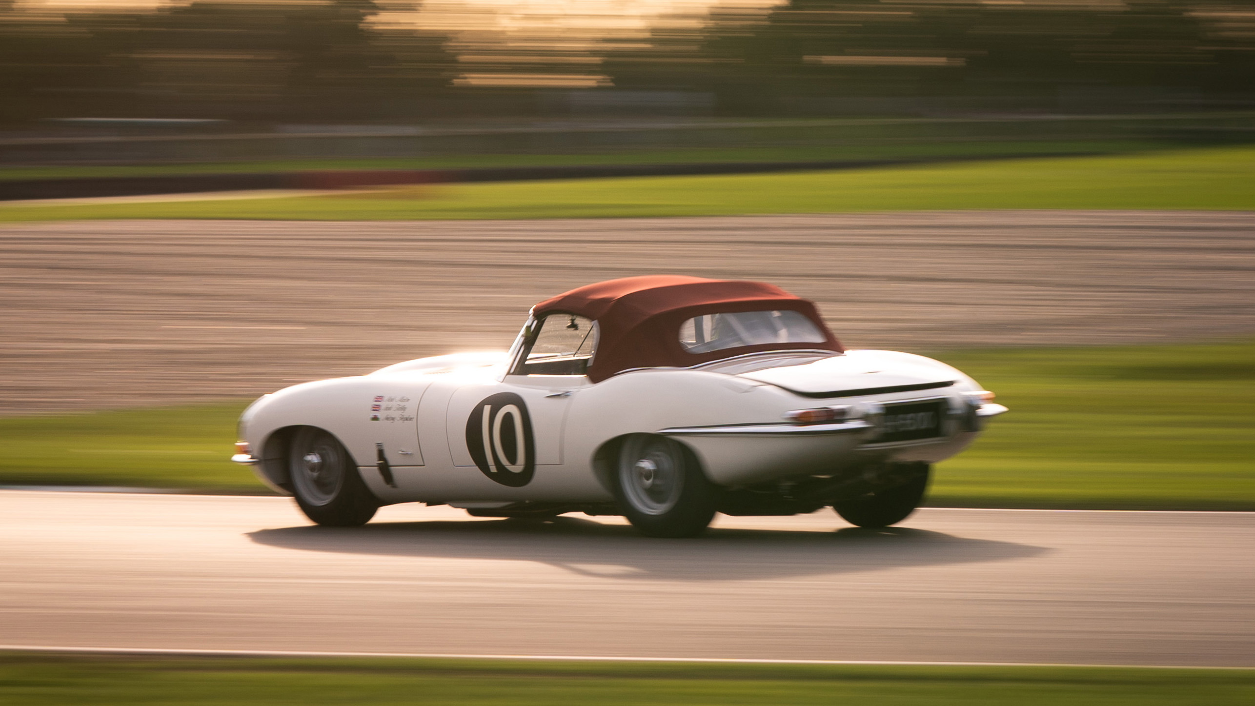 what is the prothereoe cup 1.jpg