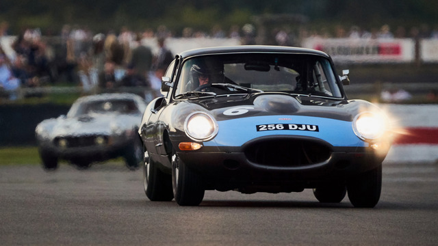 what is the prothereoe cup 4.jpg