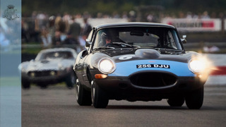 what is the prothereoe cup MAIN.jpg