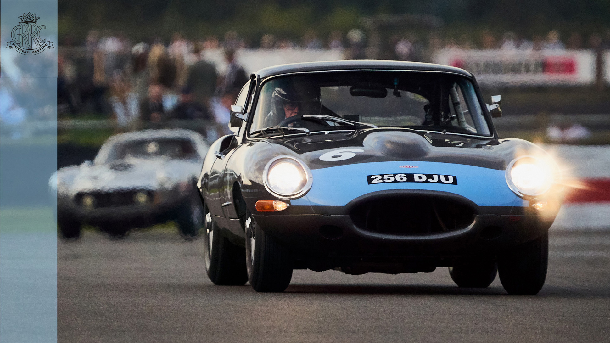 what is the prothereoe cup MAIN.jpg