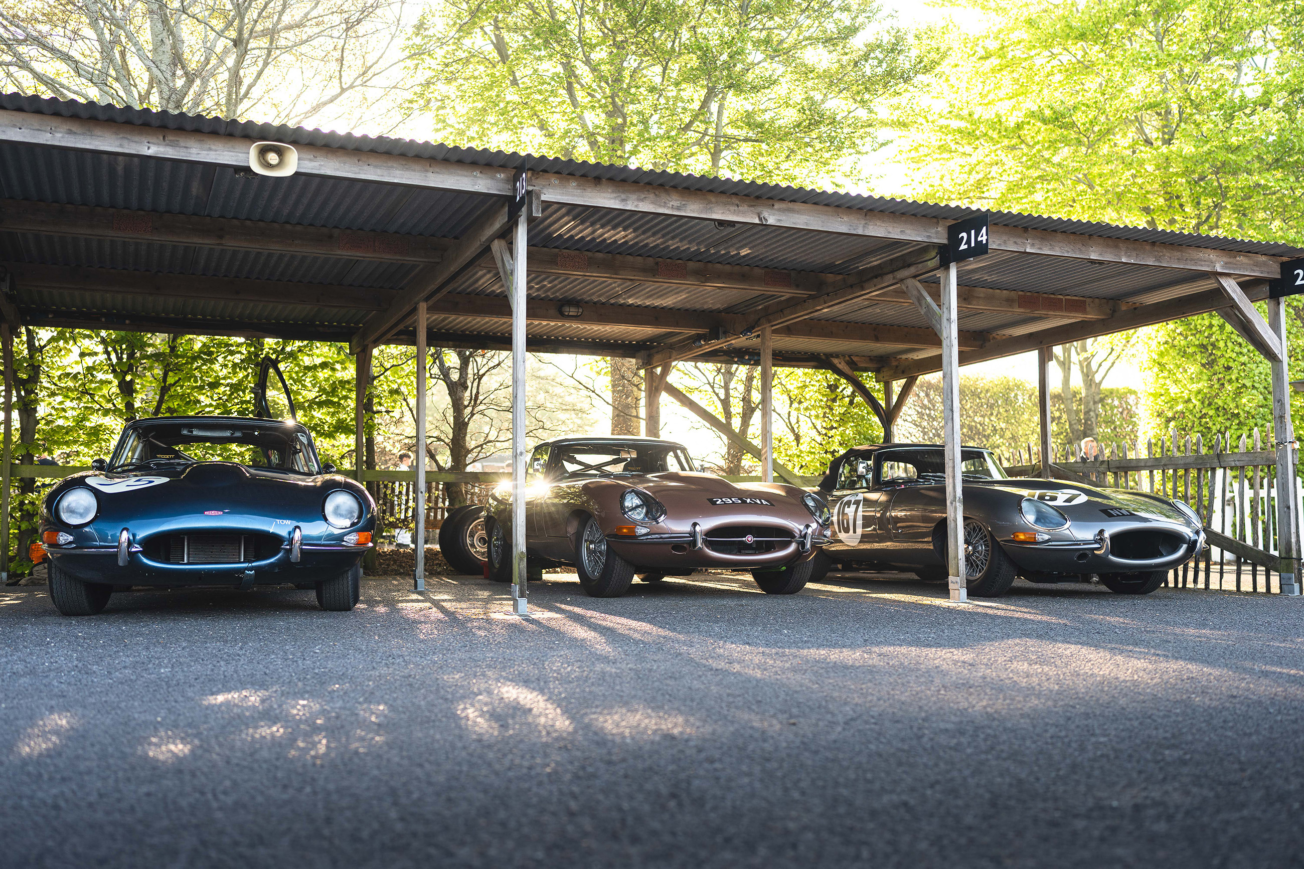 saturday midday gallery 83MM04.jpg