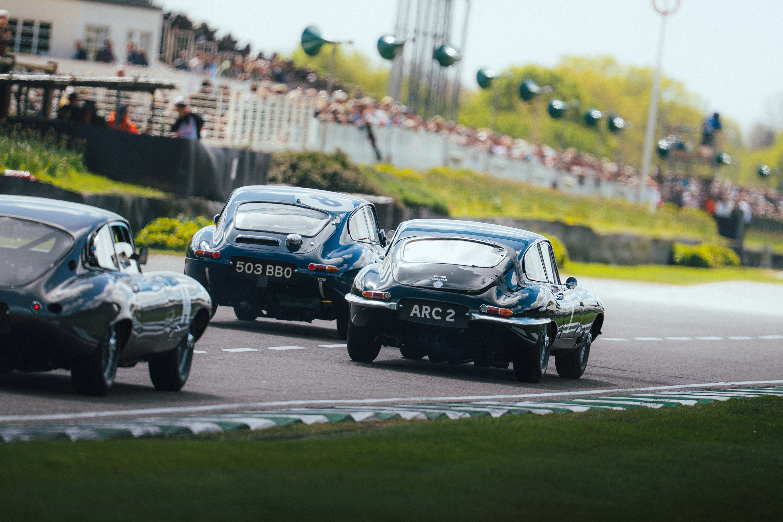 protheroe cup feature 14.jpg