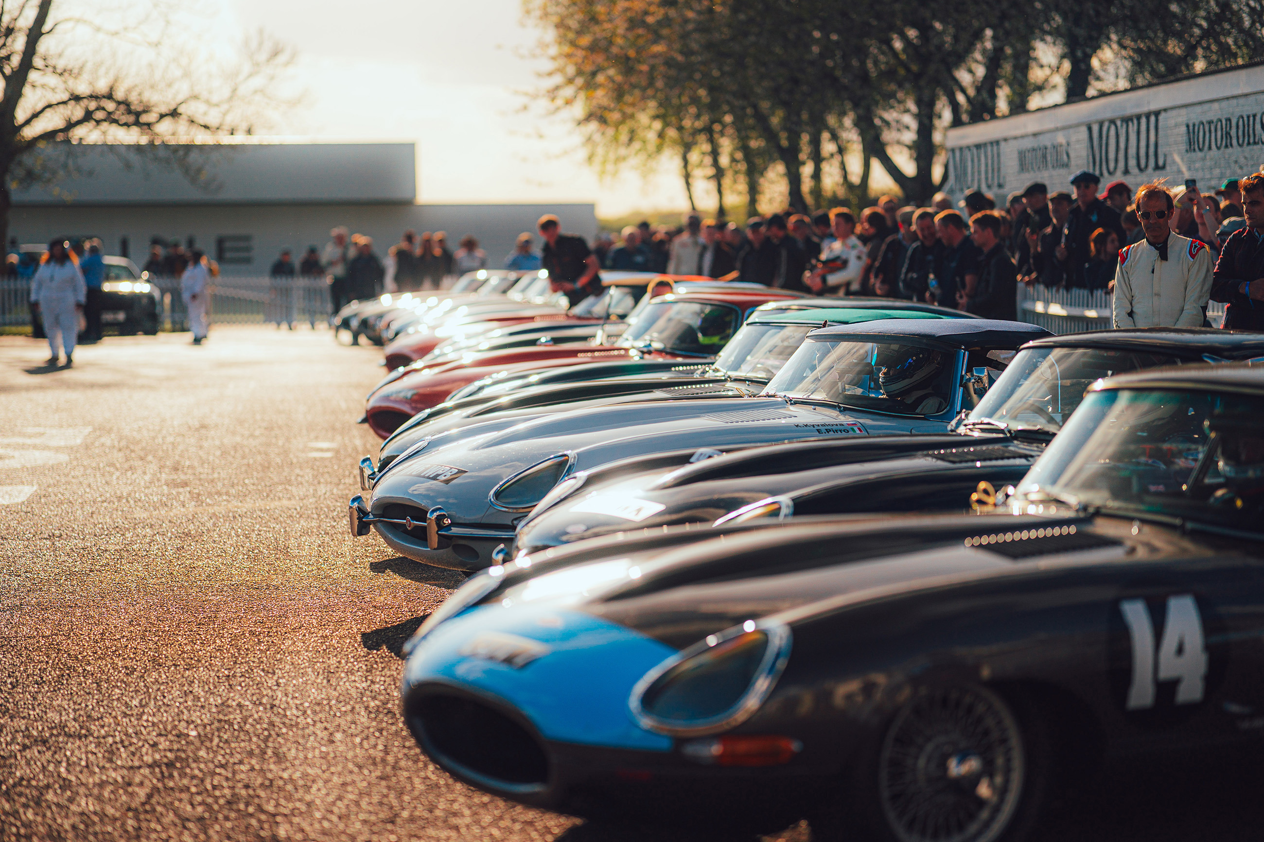 protheroe cup feature header.jpg