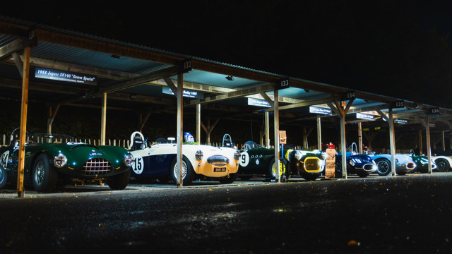 Paddocks by night 2025 Revival 01.jpg