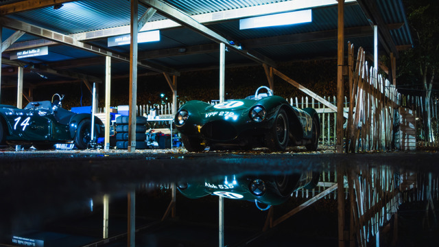 Paddocks by night 2025 Revival 02.jpg