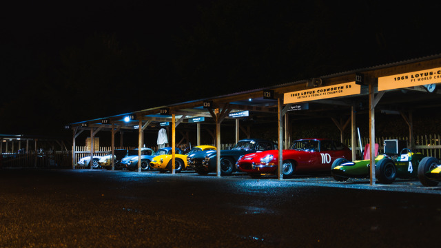 Paddocks by night 2025 Revival 03.jpg