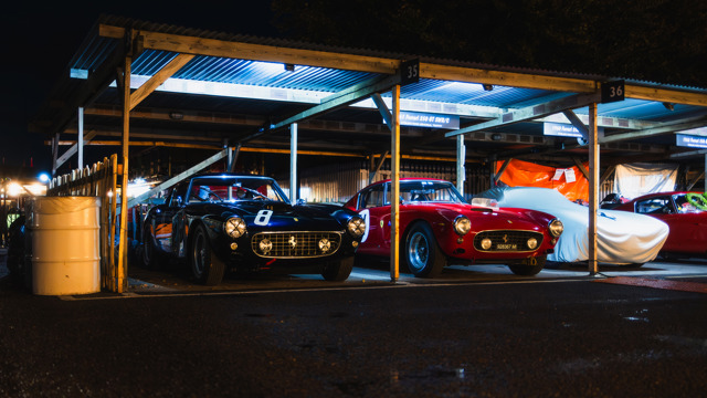 Paddocks by night 2025 Revival 04.jpg