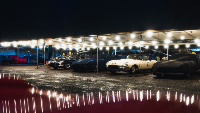 Paddocks by night 2025 Revival 06.jpg