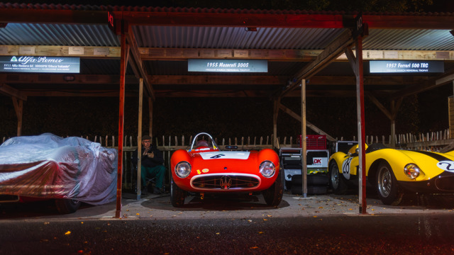 Paddocks by night 2025 Revival 07.jpg