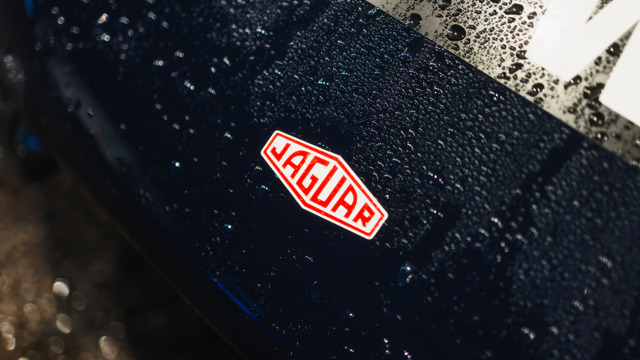 Paddocks by night 2025 Revival 08.jpg