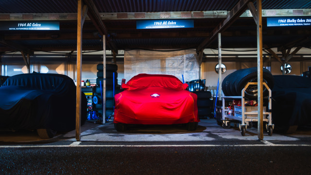 Paddocks by night 2025 Revival 09.jpg