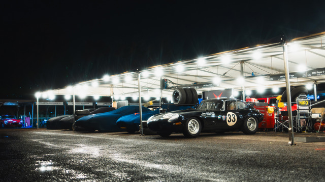 Paddocks by night 2025 Revival 10.jpg