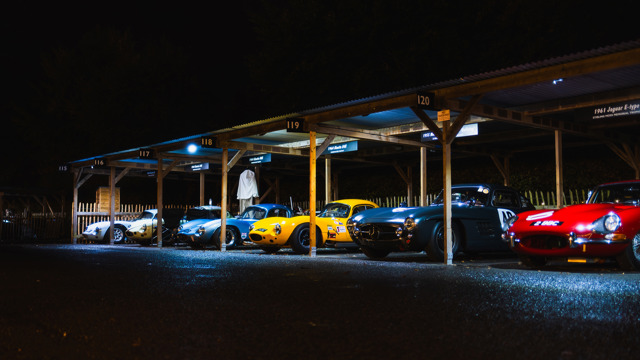 Paddocks by night 2025 Revival 12.jpg