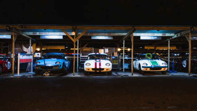 Paddocks by night 2025 Revival 20.jpg