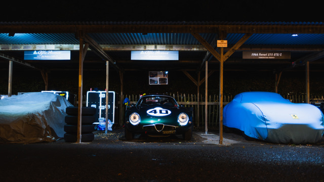 Paddocks by night 2025 Revival 25.jpg