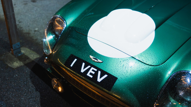 Paddocks by night 2025 Revival 26.jpg