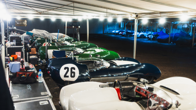 Paddocks by night 2025 Revival 31.jpg