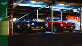 Paddocks by night 2025 Revival MAIN.jpg