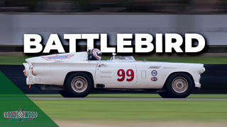 BATTLEBIRD 2 (1).jpg