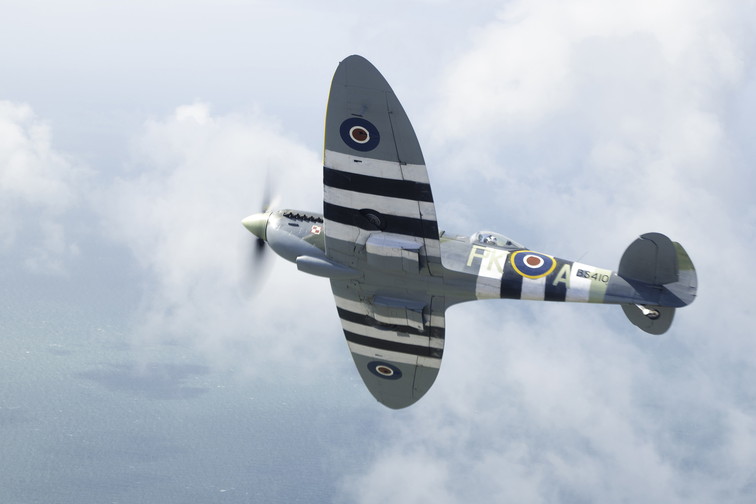 frankel spitfire 02.jpg