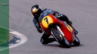 Sheene at Revival NEW MAIN.jpg