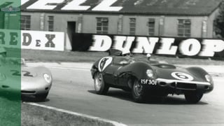 Revival Dunlop MAIN.jpg