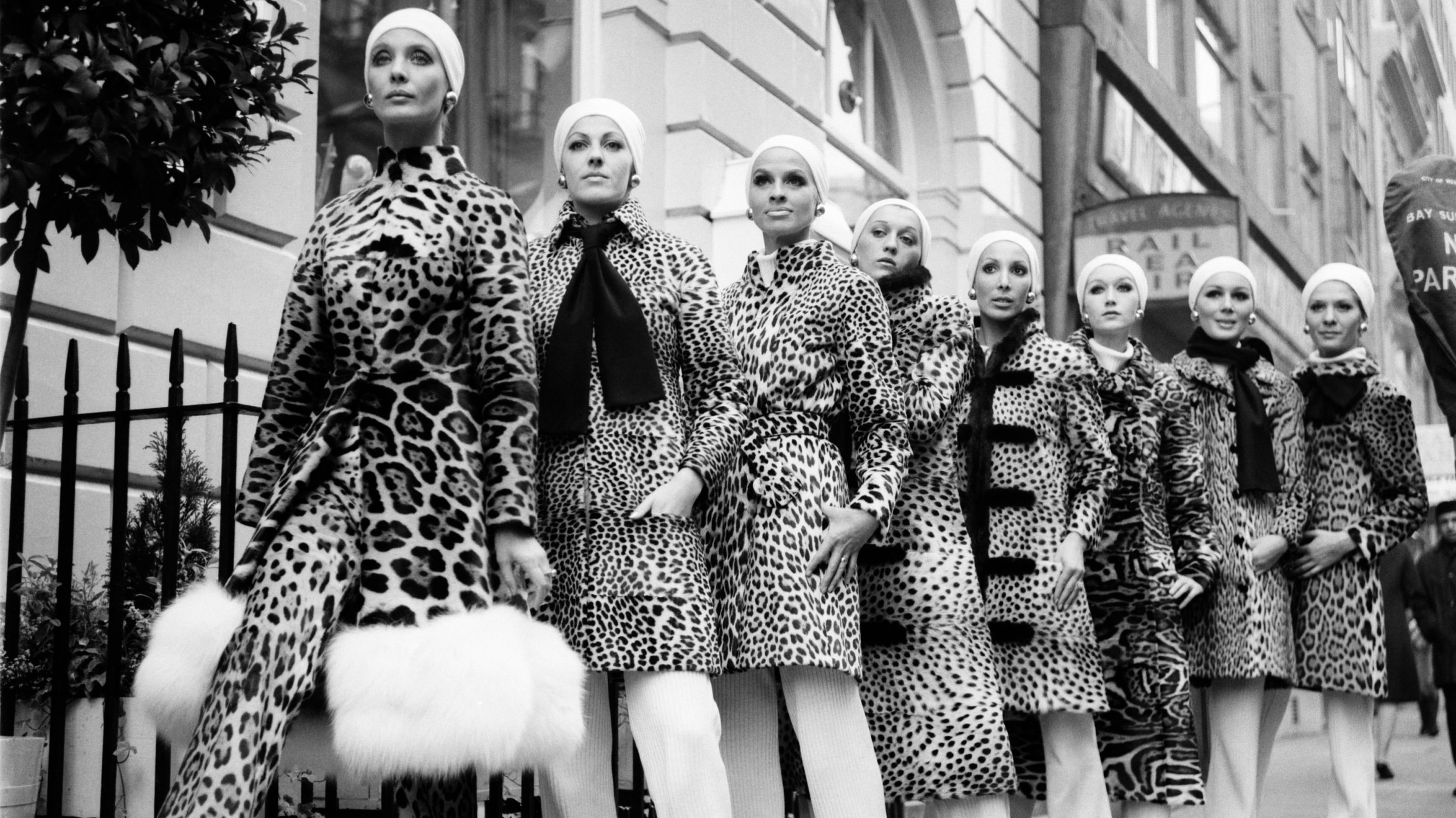 la dolce vita style guide leopard print.jpg