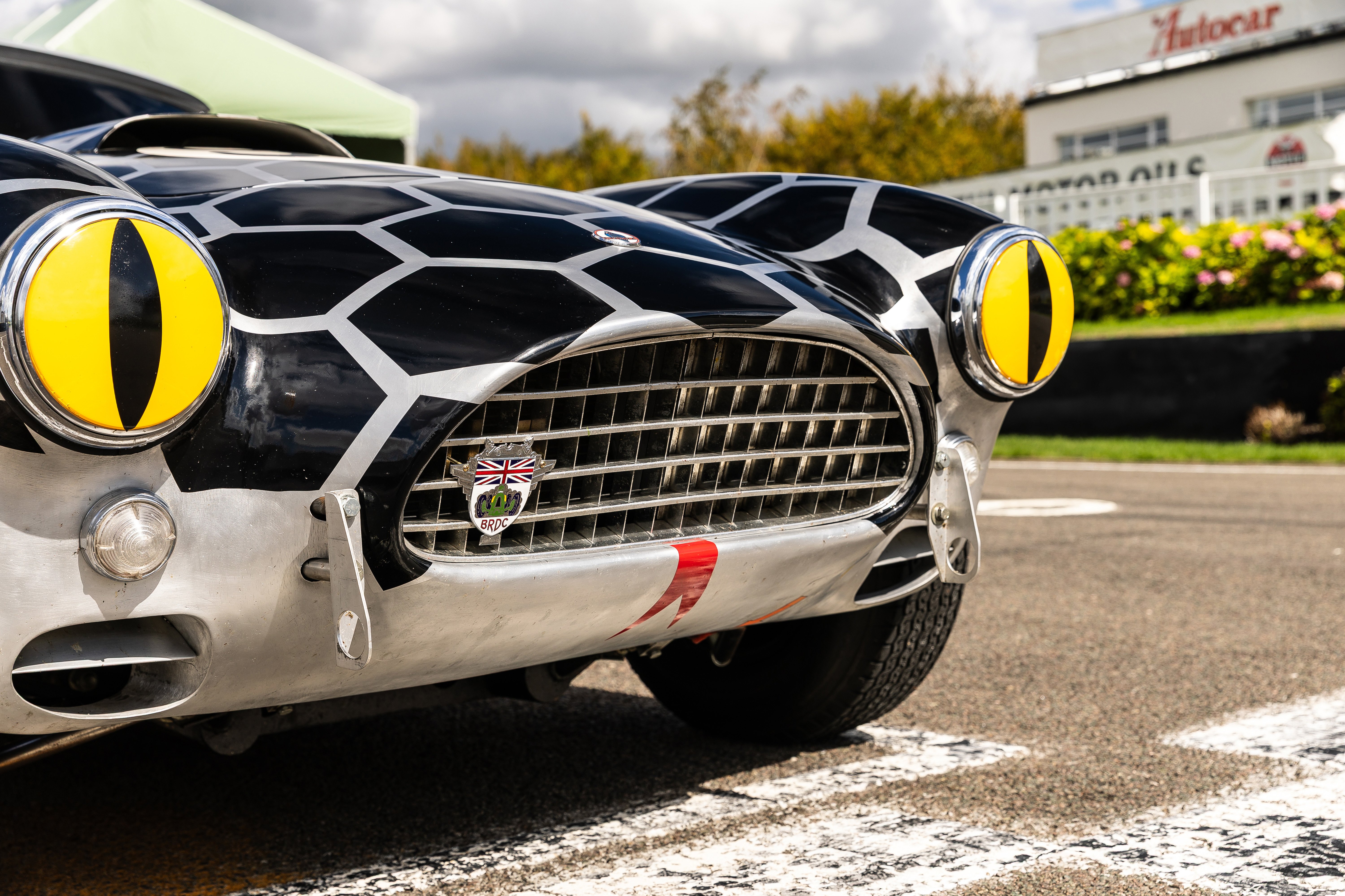 AC Cobra Snake Eyes REV Testing JH (15).jpg