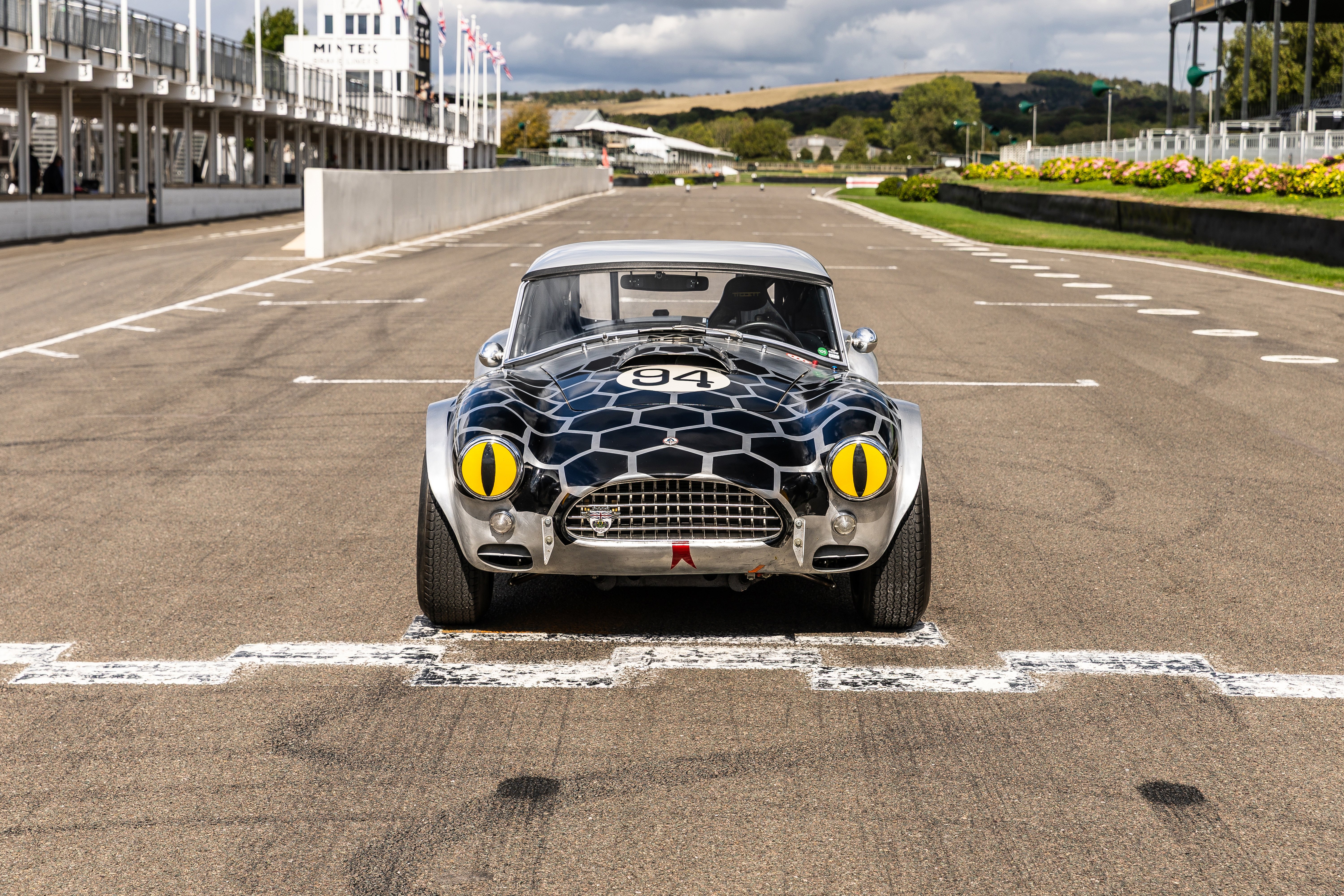 AC Cobra Snake Eyes REV Testing JH (21).jpg