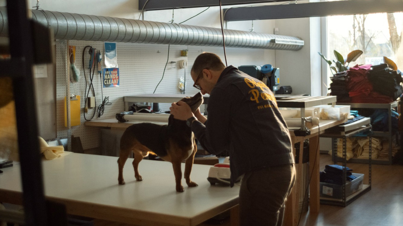 Co-founder Horesh named Oxford Pennant after his beloved dog. 