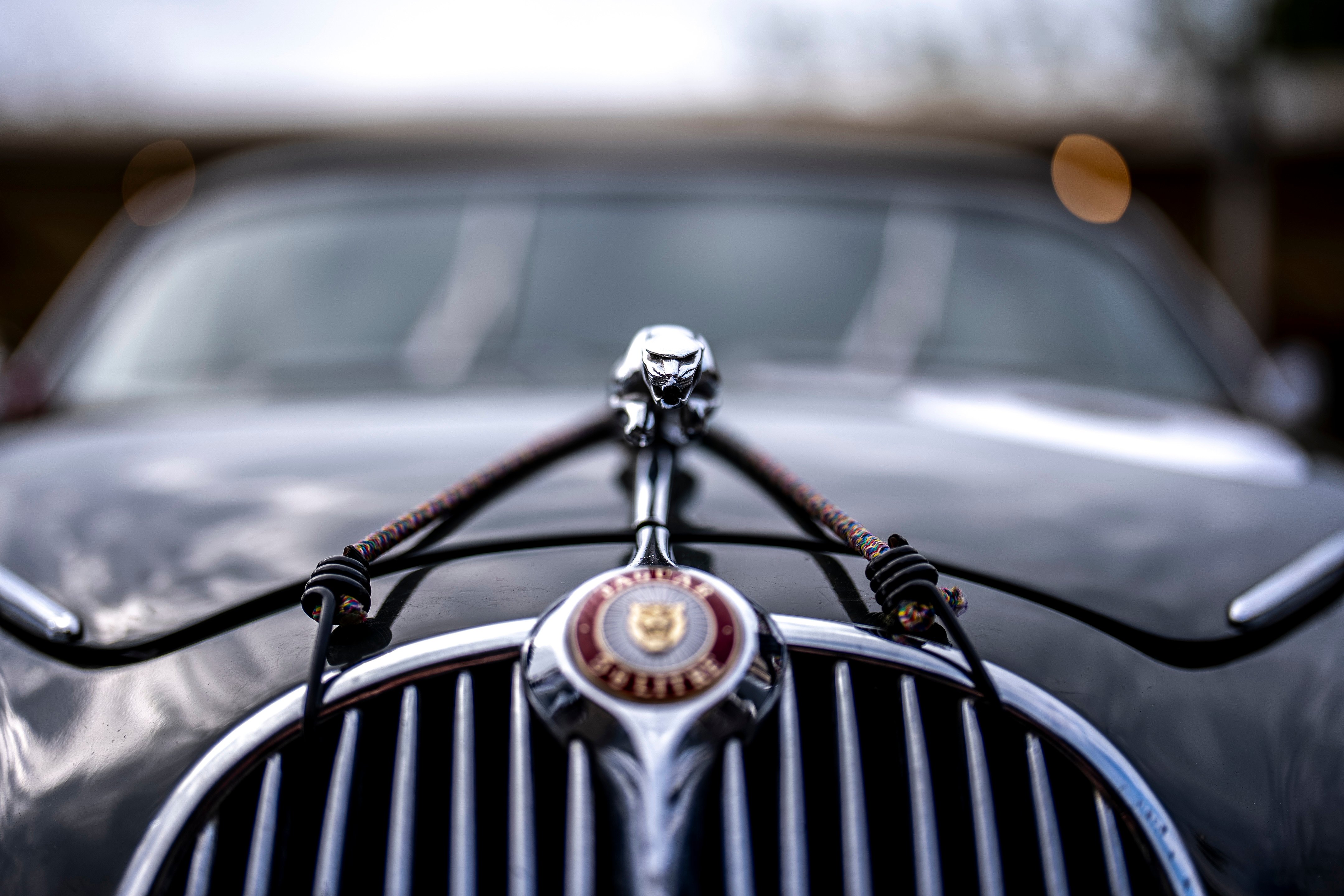Jaguar Mk2 CTR 05.jpg