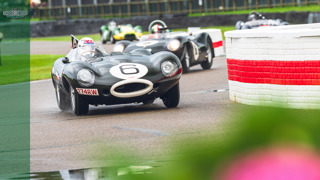 what is the sussex trophy MAIN.jpg