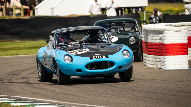 revival 2026 vips  (3).jpg