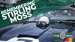 Sir Stirling Moss Tribute SpeedWeek Video Goodwood 21102020.jpg