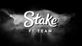 Stake F1 Team.png