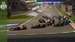2024 Bahrain Grand Prix preview MAIN.jpg