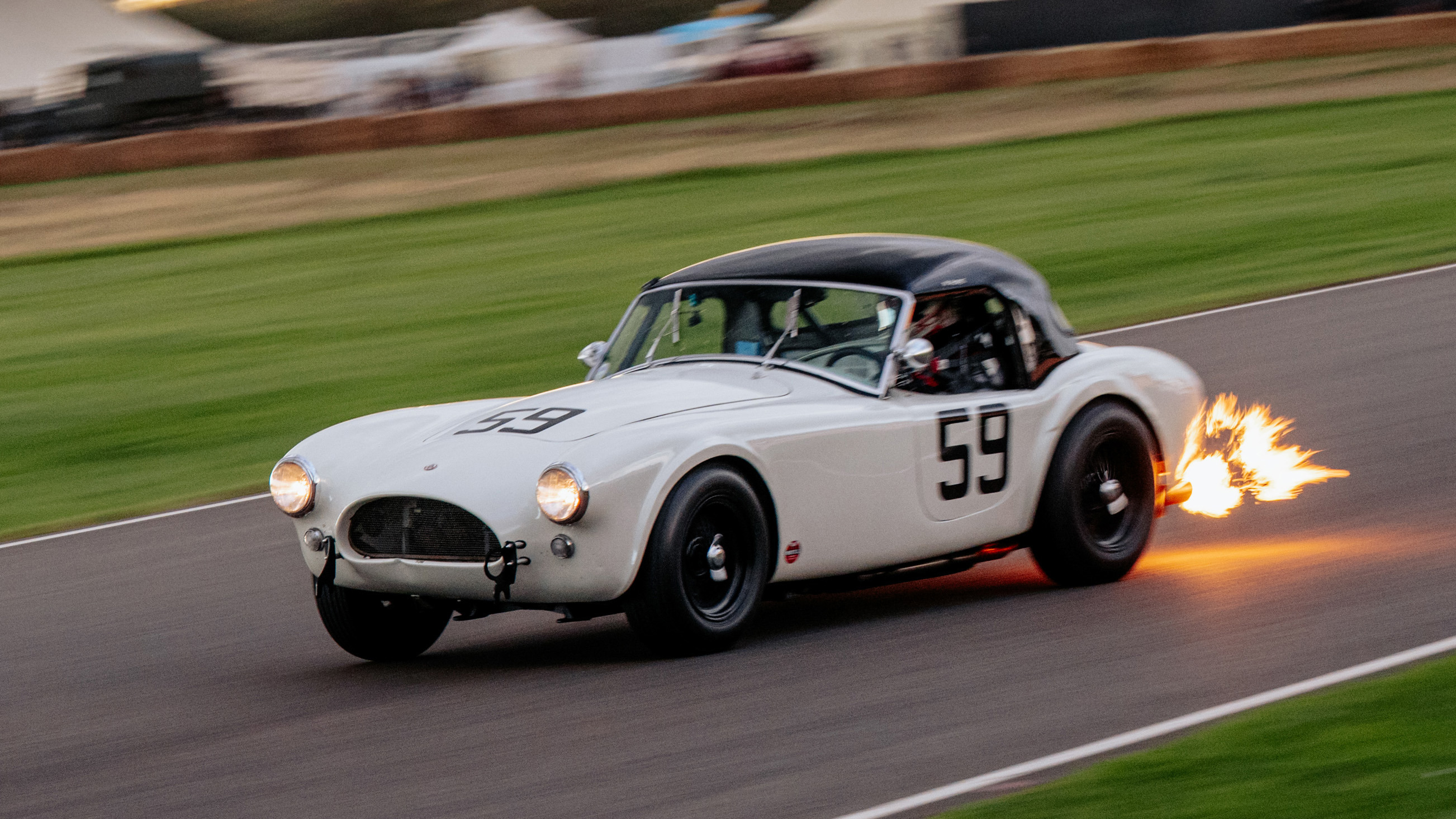 frankel phil hill cobra JaysonFong.jpg