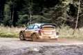 WRC-Ford-Performance-M-Sport-Gus-Greensmith-Fiesta-Dan-Trent-Goodwood-08102019.jpg