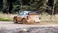 M-Sport WRC Fiesta Dan Trent Goodwood 01101905.jpg