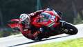 MotoGP 2020 Andrea Dovizioso Ducati.jpg