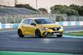 Renault_Megane_Goodwood_Review_31012018_31011813.jpg