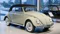 Volkswagen_Beetle_19091802.jpg