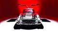 Old-Car-Names-5-Mercedes-300-SL-Gullwing.jpg