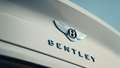 Bentley-Continental-GT-Convertible-Badge-Goodwood-27022019.jpg