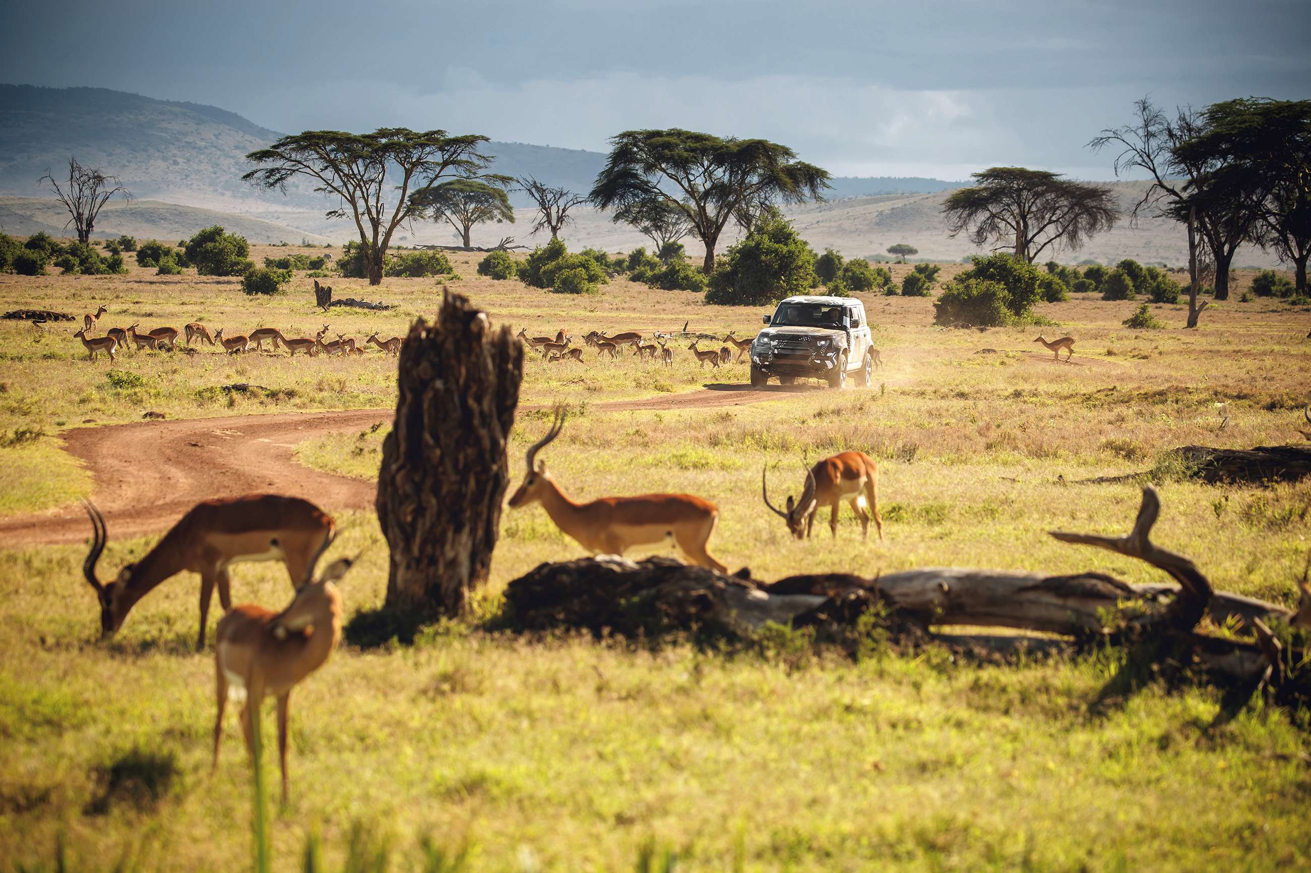 Land Rover puts new Defender through its paces in Kenyan conservation ...