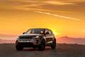 Range-Rover-Evoque-2019-Photos-Goodwood-13032019.jpg