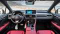 Lexus-RX450h-Interior-Goodwood-15102019.jpg