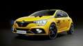 Renaultsport-Megane-3.jpeg