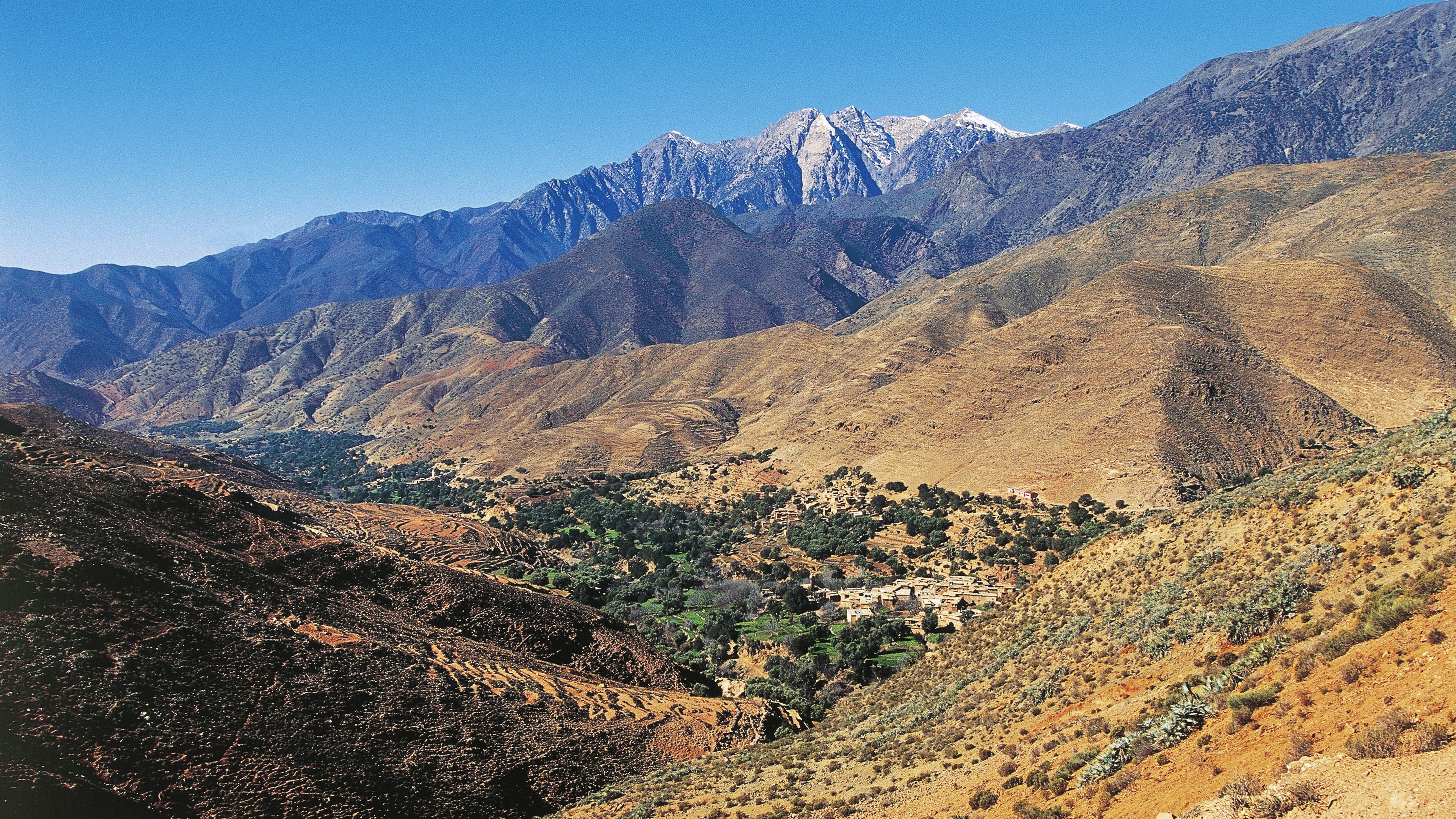 roads over cars opinion 3.jpg