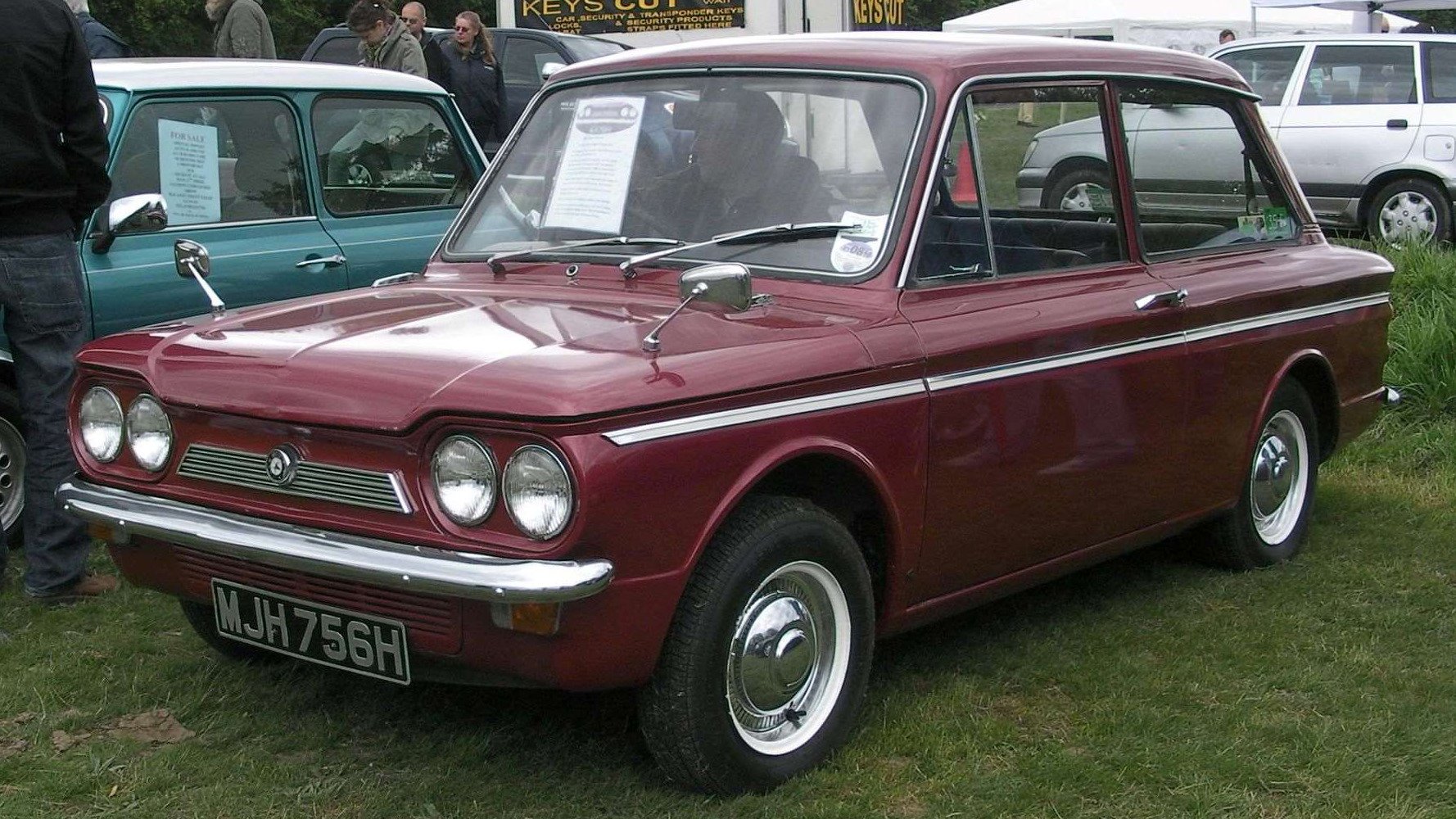 singer chamois copy.jpg